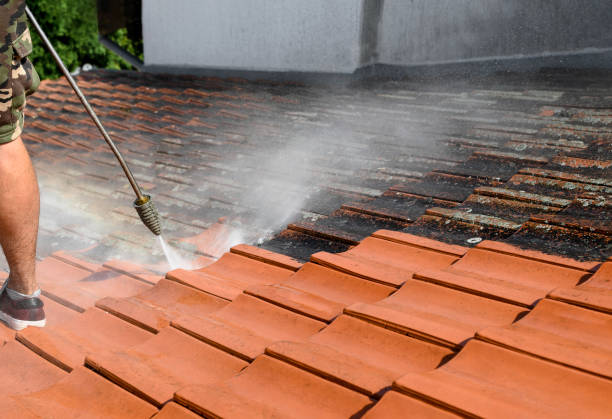 Why Choose Our Certified Pressure Washing Experts for Your Project Needs in Peotone, IL?