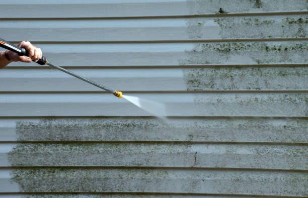 Best Pressure Washing Driveway  in Peotone, IL