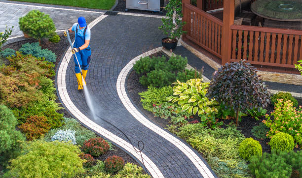 Best Pressure Washing Near Me  in Peotone, IL