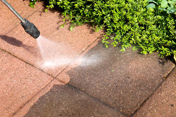 Best Commercial Building Pressure Washing  in Peotone, IL