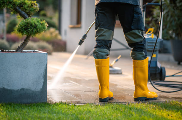 Best Deck Cleaning Services  in Peotone, IL
